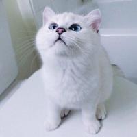Кристина 