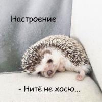 Алена