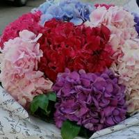 Saadat