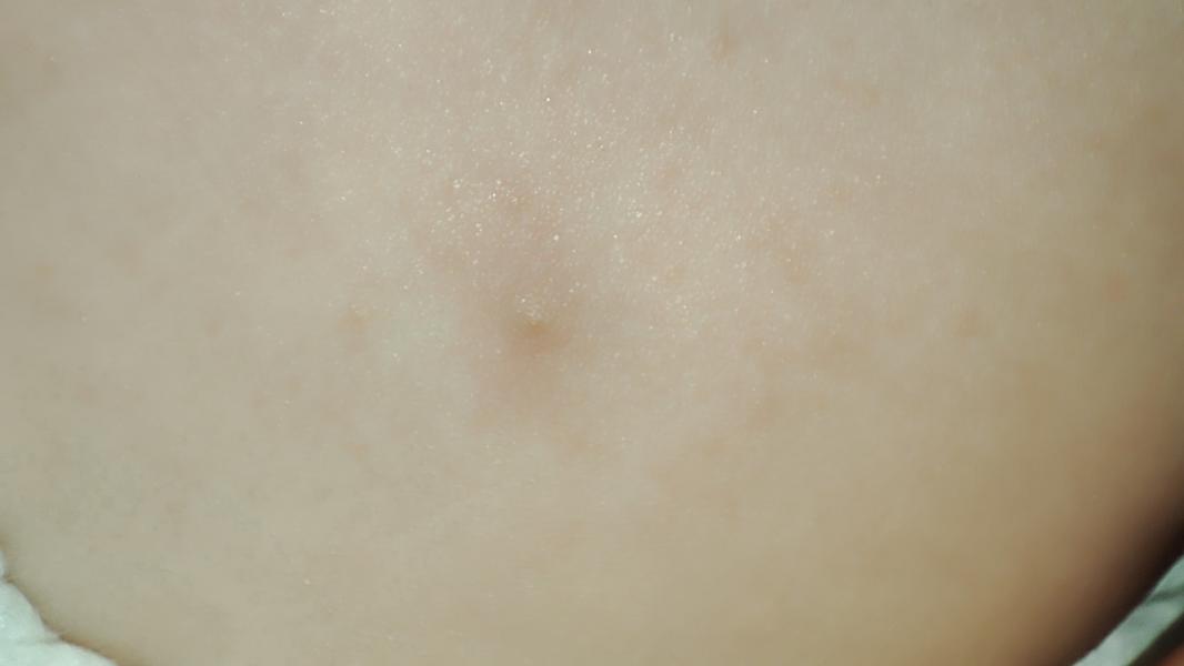 post image 4