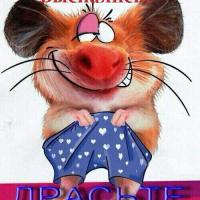 MamaPapa