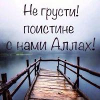Равия