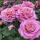 fatima_izmaylova_18.04.1998