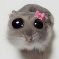 MOM_MOUSE