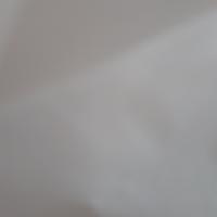 inta