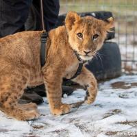 ИмяФамилия