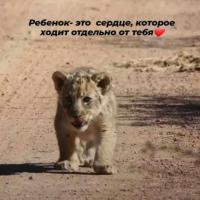 Сабият