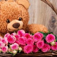  vip👑Teddik 💗💗💗