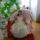 amina555369