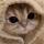 s_eve