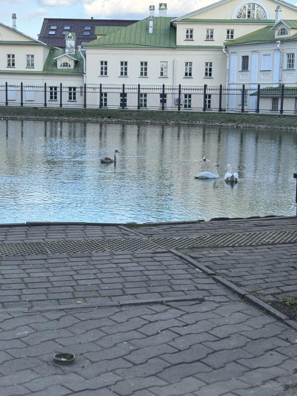 post image 5