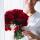 shanya_25