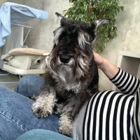 Анна 
