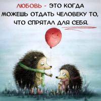 роза