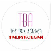 Toy_box_taldykorgan