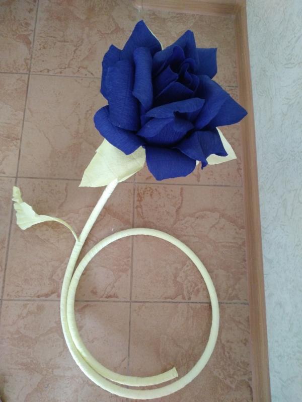 post image 4