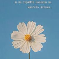 pema.dj
