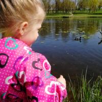 Sofi_Sofi