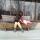 hippy_end