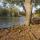 autumnleafs