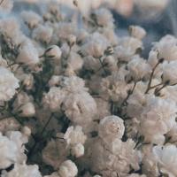 🧚‍♂️🧚‍♂️🧚‍♂️🧚‍♂️