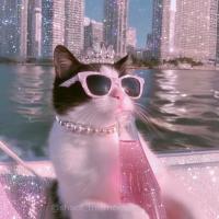 cutiee