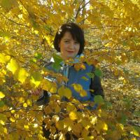 Елена Бударагина