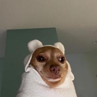 Оксана