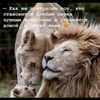 Хьалима