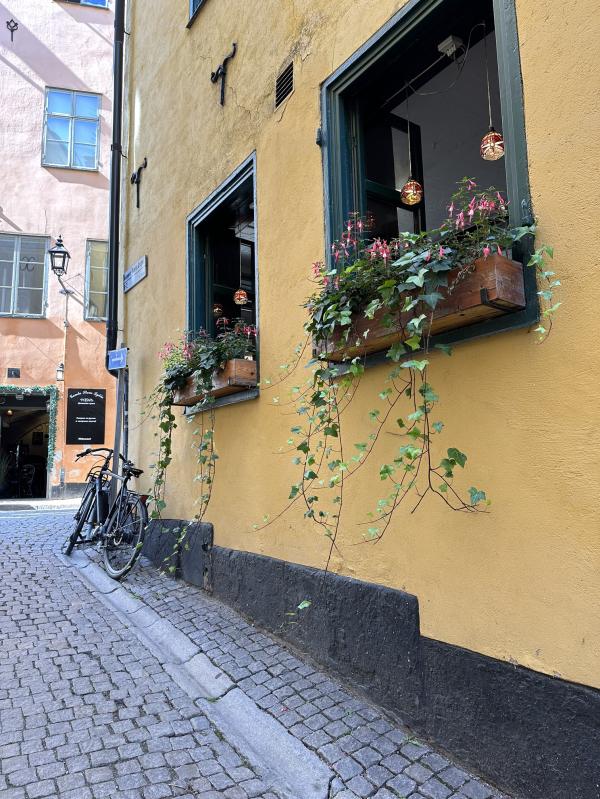 post image 5