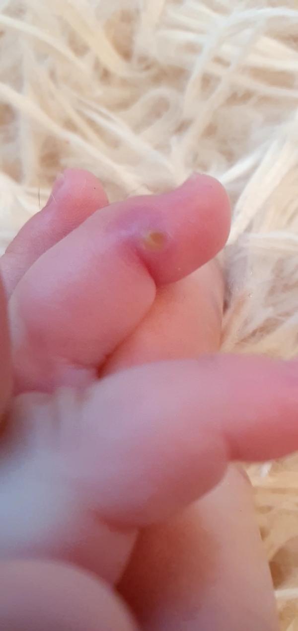 post image 1
