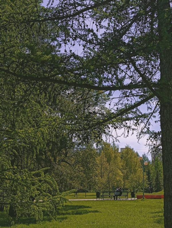post image 5