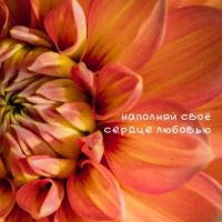 Наталья 