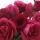 leksa_me_in-love