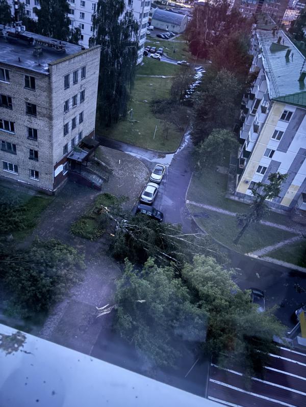 post image 4