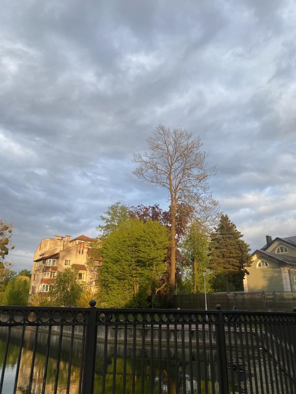 post image 5