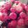 aminat_f