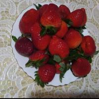 Хава