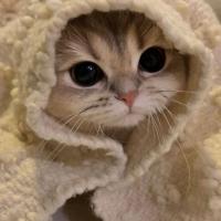Неля