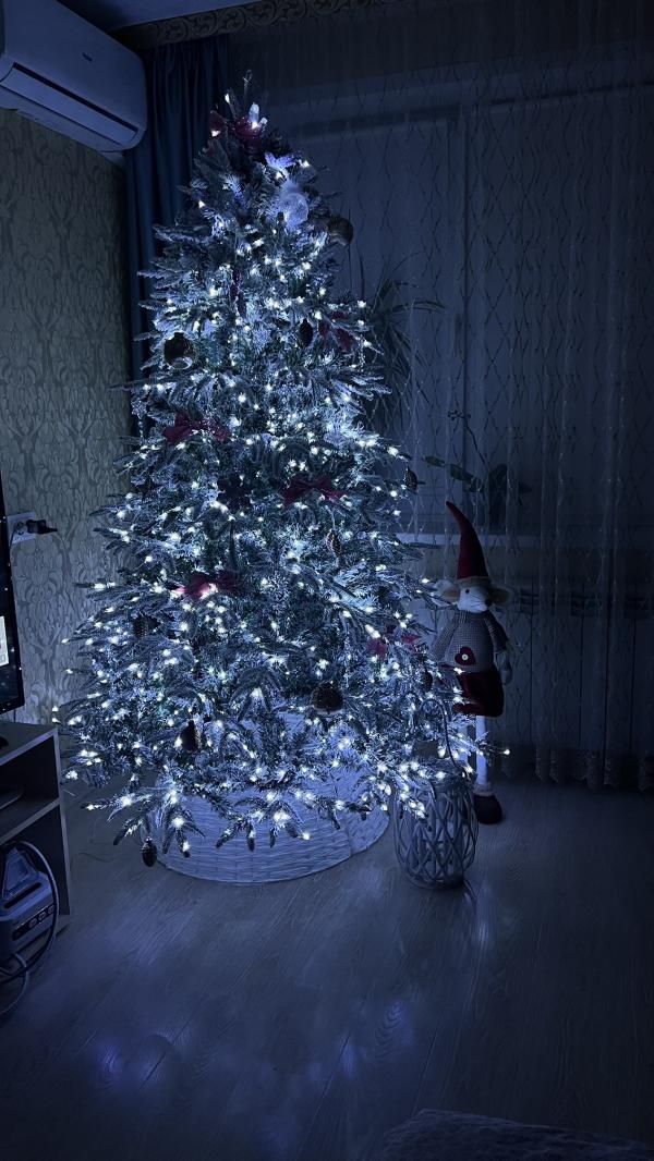 post image 4