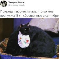 Мария
