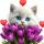 english_teacher_elena