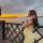 dush_eska