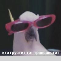 whatDanonsays