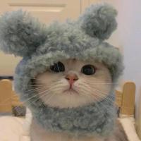 Полина