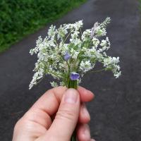 Таня 