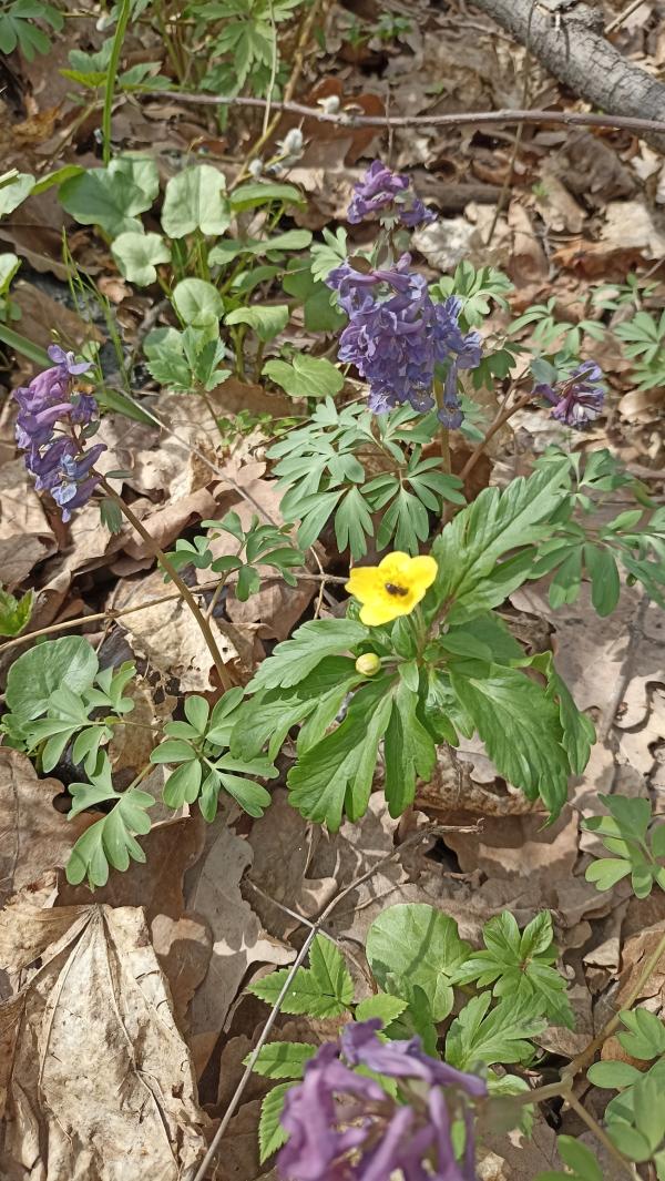 post image 4