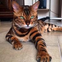 Марина