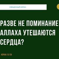 зуля