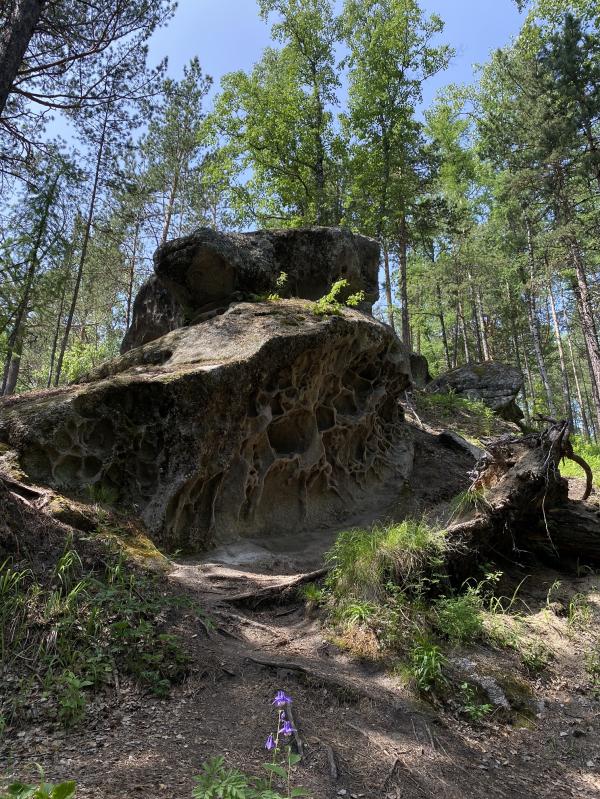 post image 5